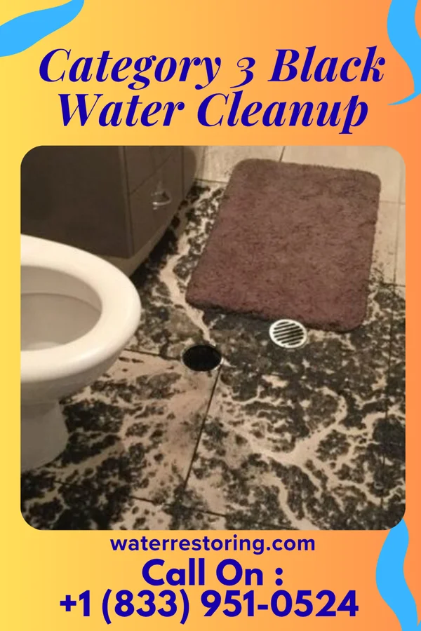 Category 3 Black Water Cleanup in Victoria, IL