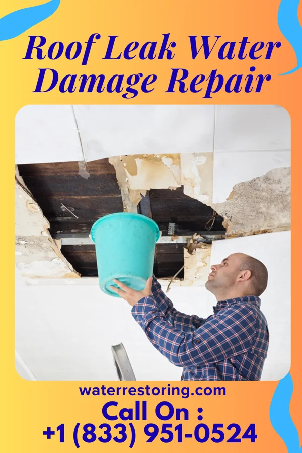Roof Leak Water Damage Repair in Victoria, IL